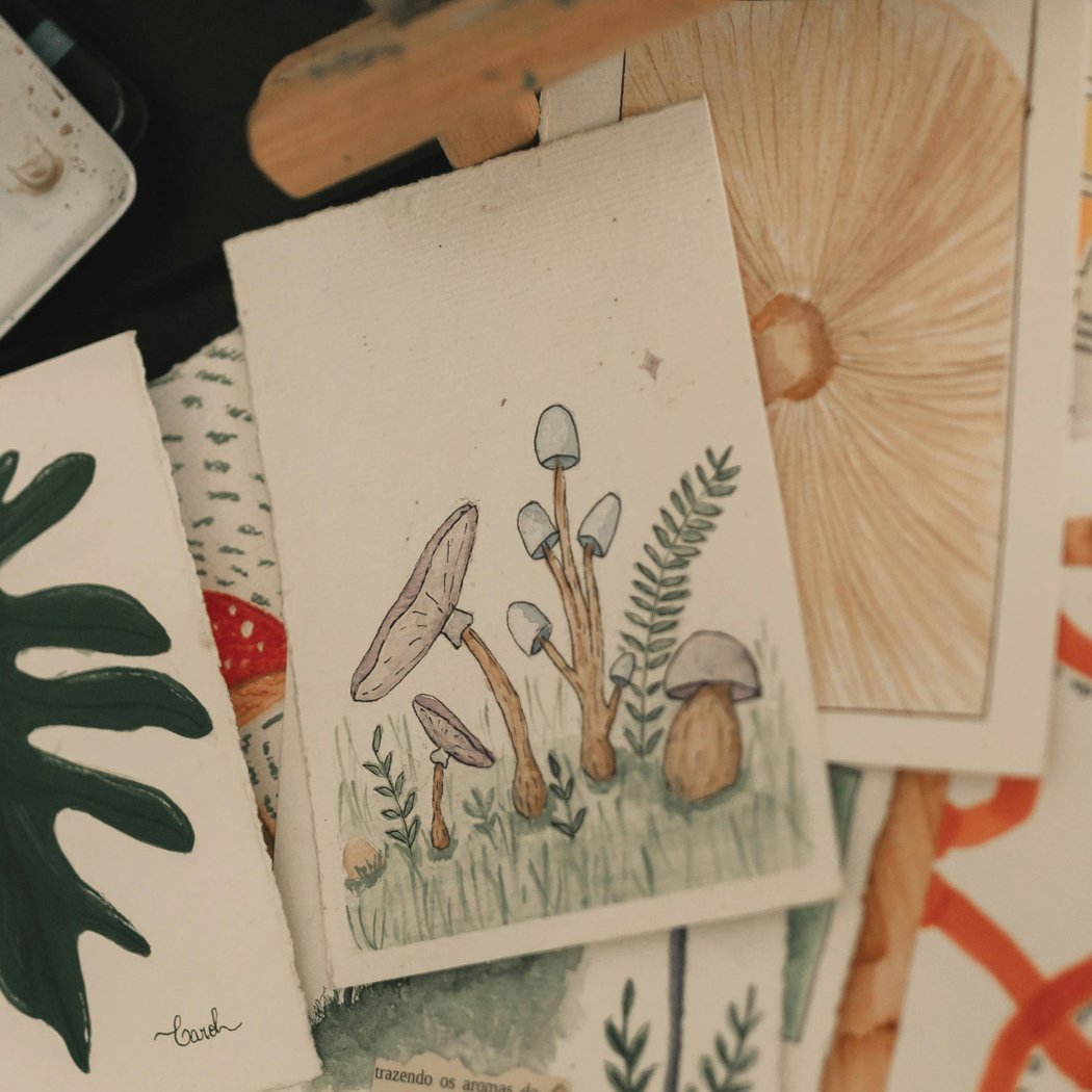 Paint a Picture: Photographic Painting and Capturing Moments 4