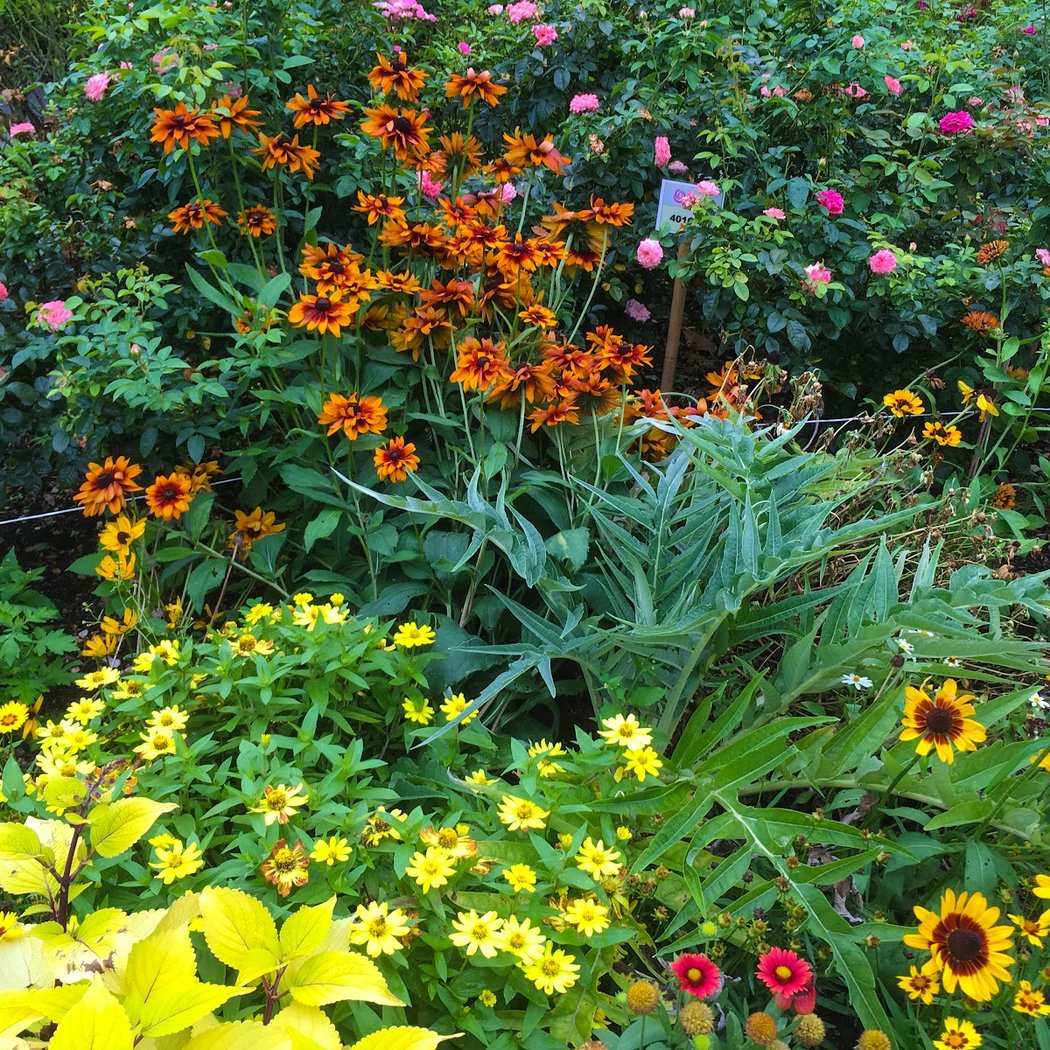Guided Watercolor Workshop