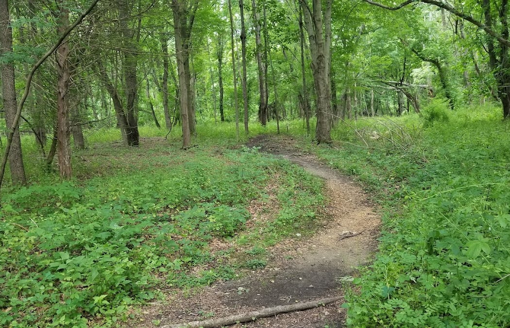 Kresson Trails 2