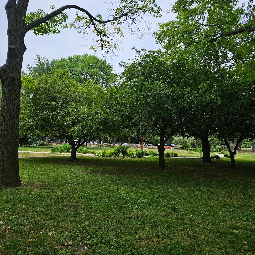 Vanderbilt Parkway 3