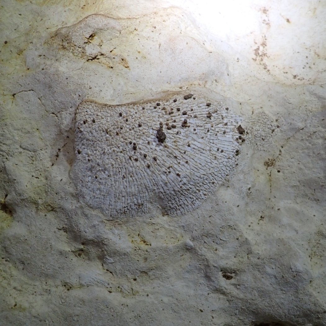 Grotte de la Vallée-Cuchon 2