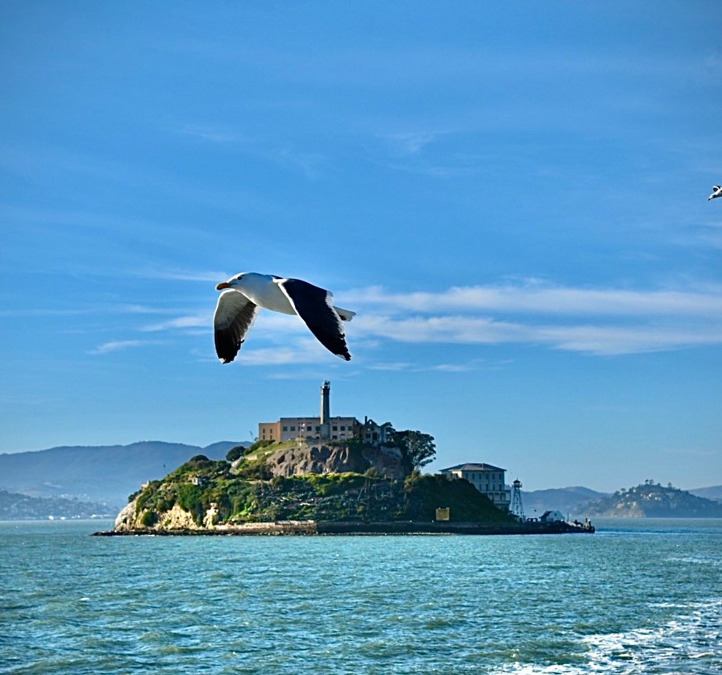 Inside Alcatraz Tour + 1-Hour Cruise 3