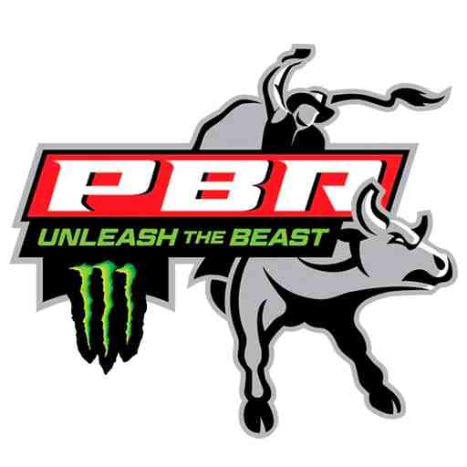 Professional Bull Riding 2