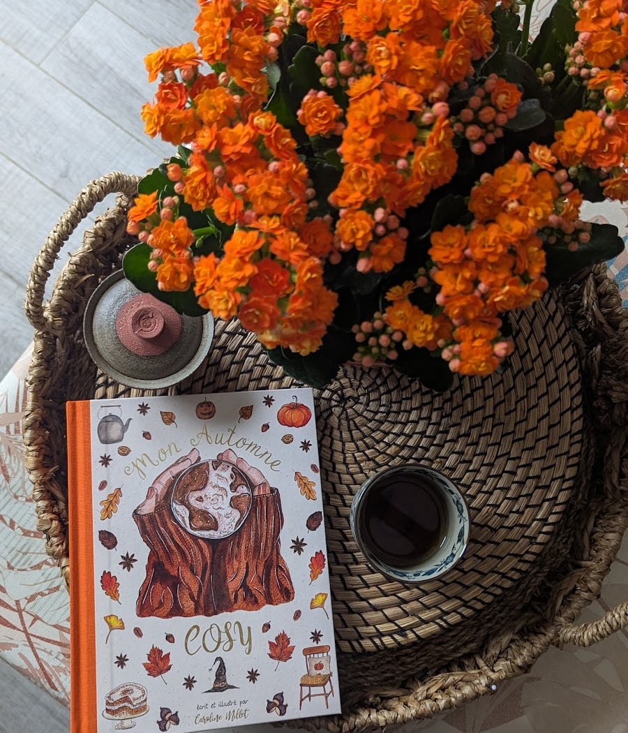La Théière et le Biscuit 1