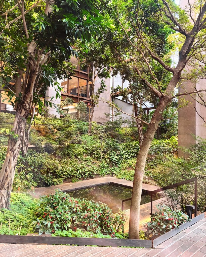 Ford Foundation Center for Social Justice 3