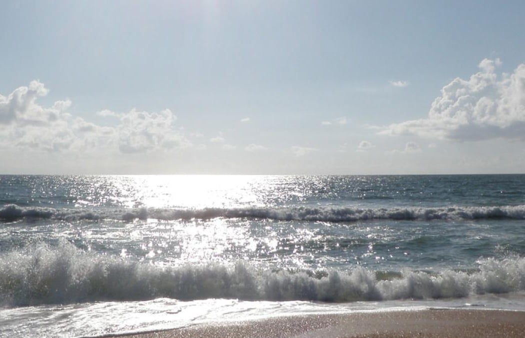 Beach Exploration 2