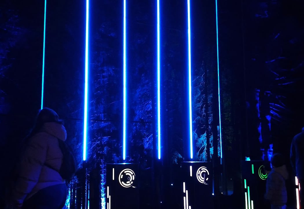 Alta Lumina 2