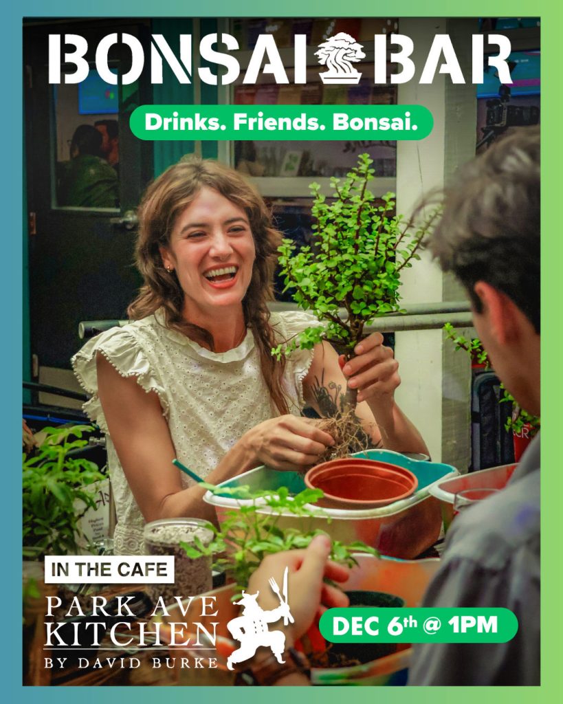 Bonsai Bar 1