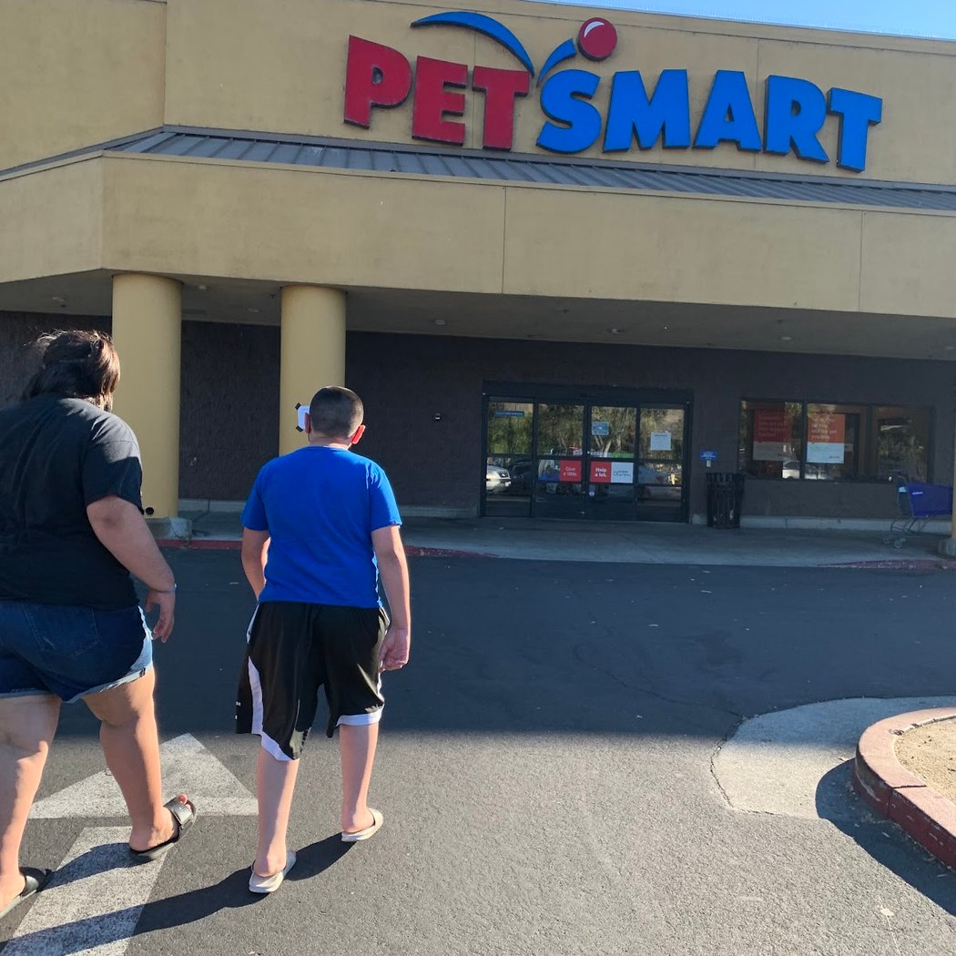 Adoption Event 2