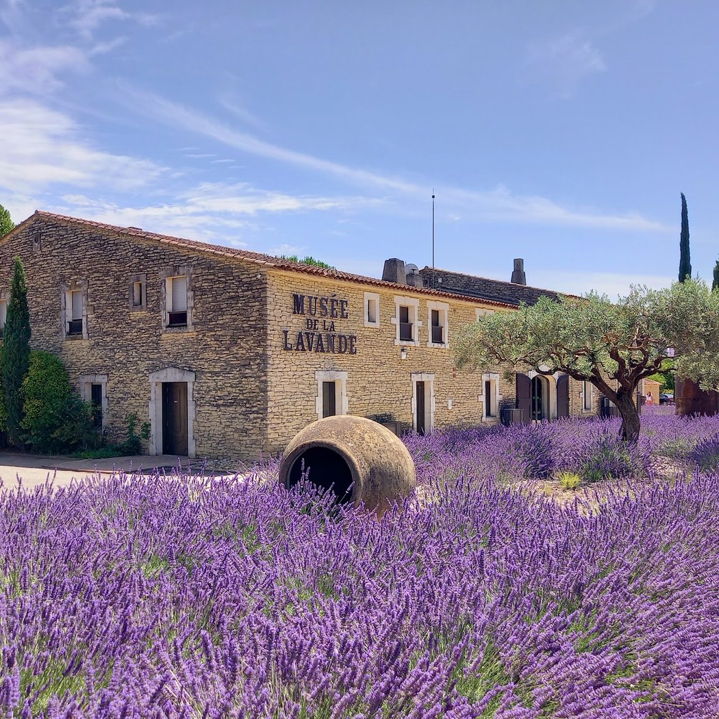 Musée de la Lavande Luberon 4
