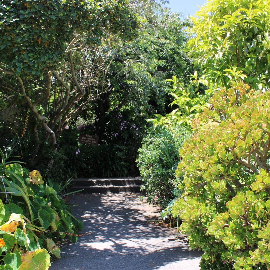 Sunnyside Conservatory 2