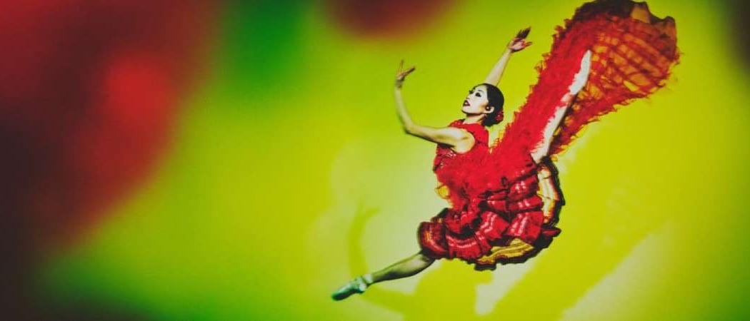 Don Quixote - San Francisco Ballet 2