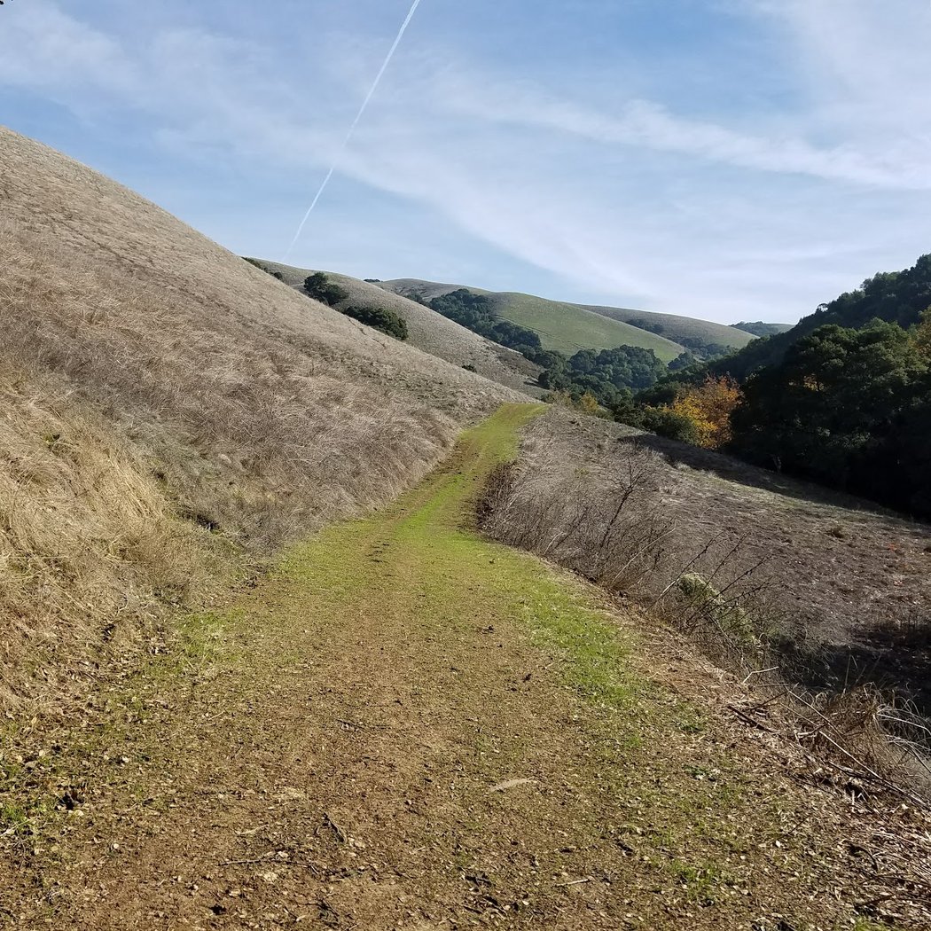 Dry Creek Park 2