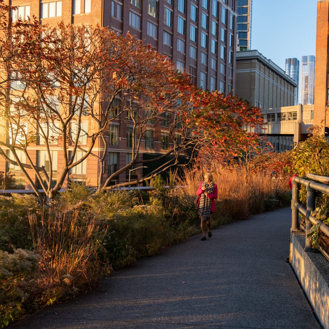 Celebrating City Nature: Insights from NYC Greenspaces 1