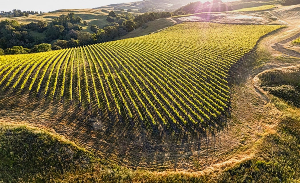 Gap's Crown Vineyard 2