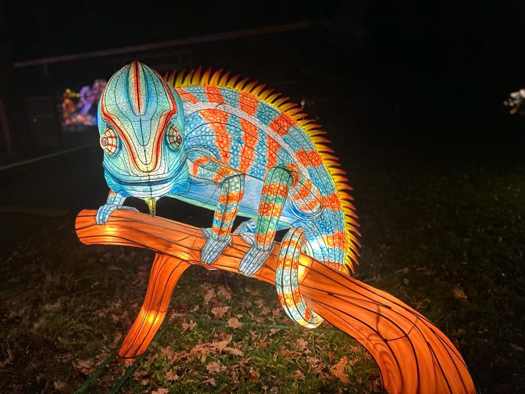 Parc floral - L'Odyssée Lumineuse 1