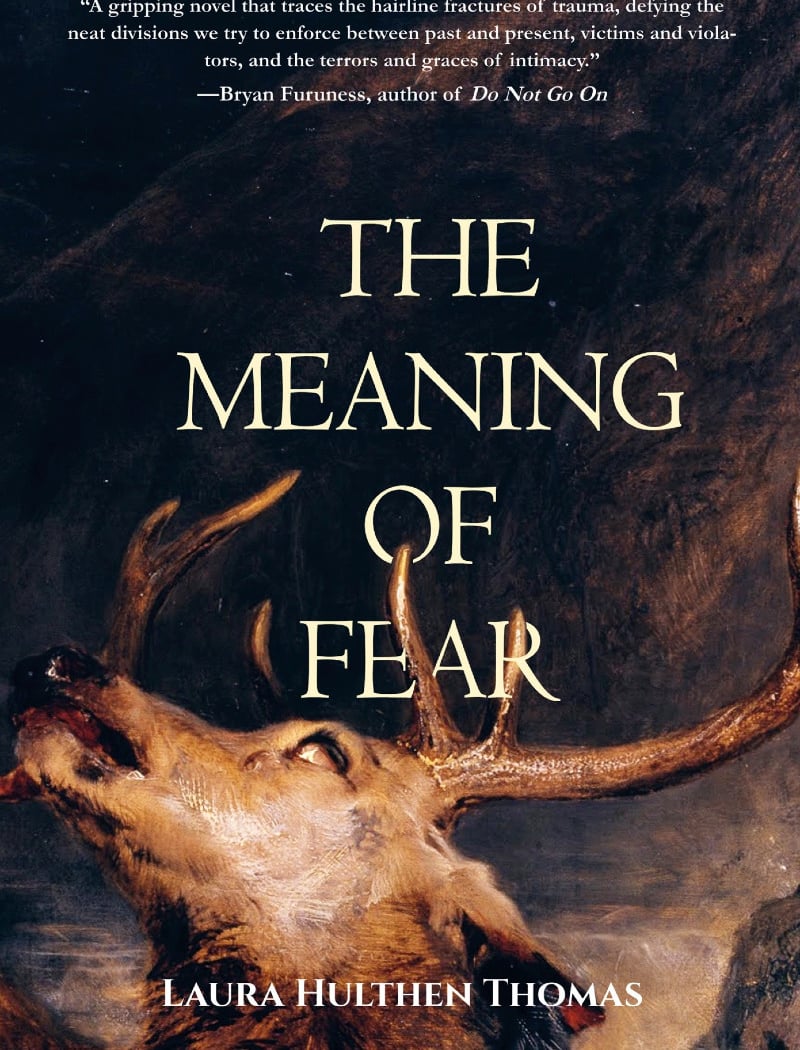 Fiction Literati: Laura Hulthen Thomas discusses The Meaning of Fear 1
