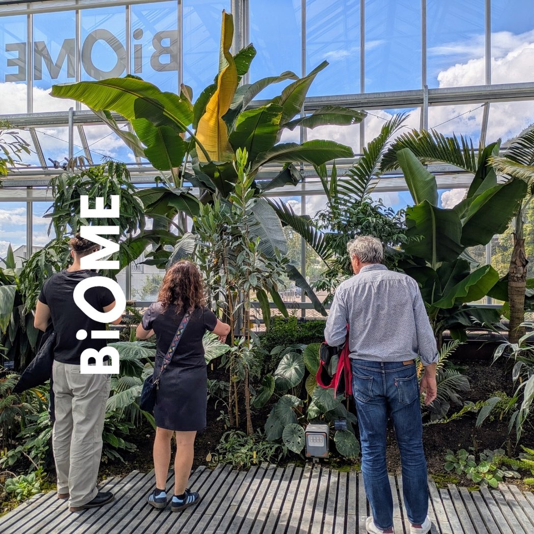 BIOME - Garden | Greenhouse | Fabrika 3