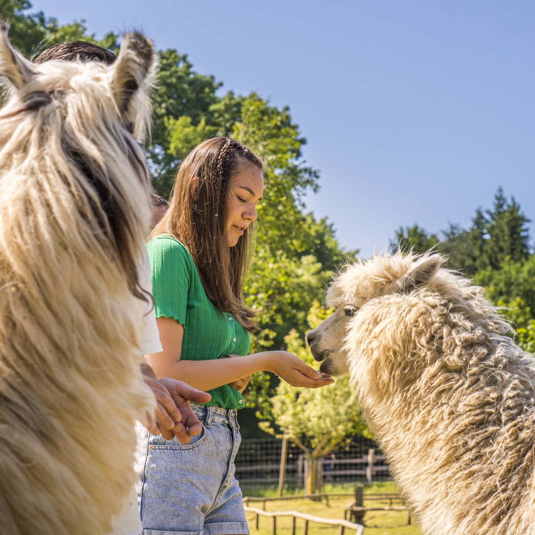 Natural'Parc Zoo-Attractions 1