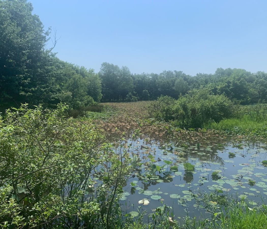 Oxley Nature Center 3
