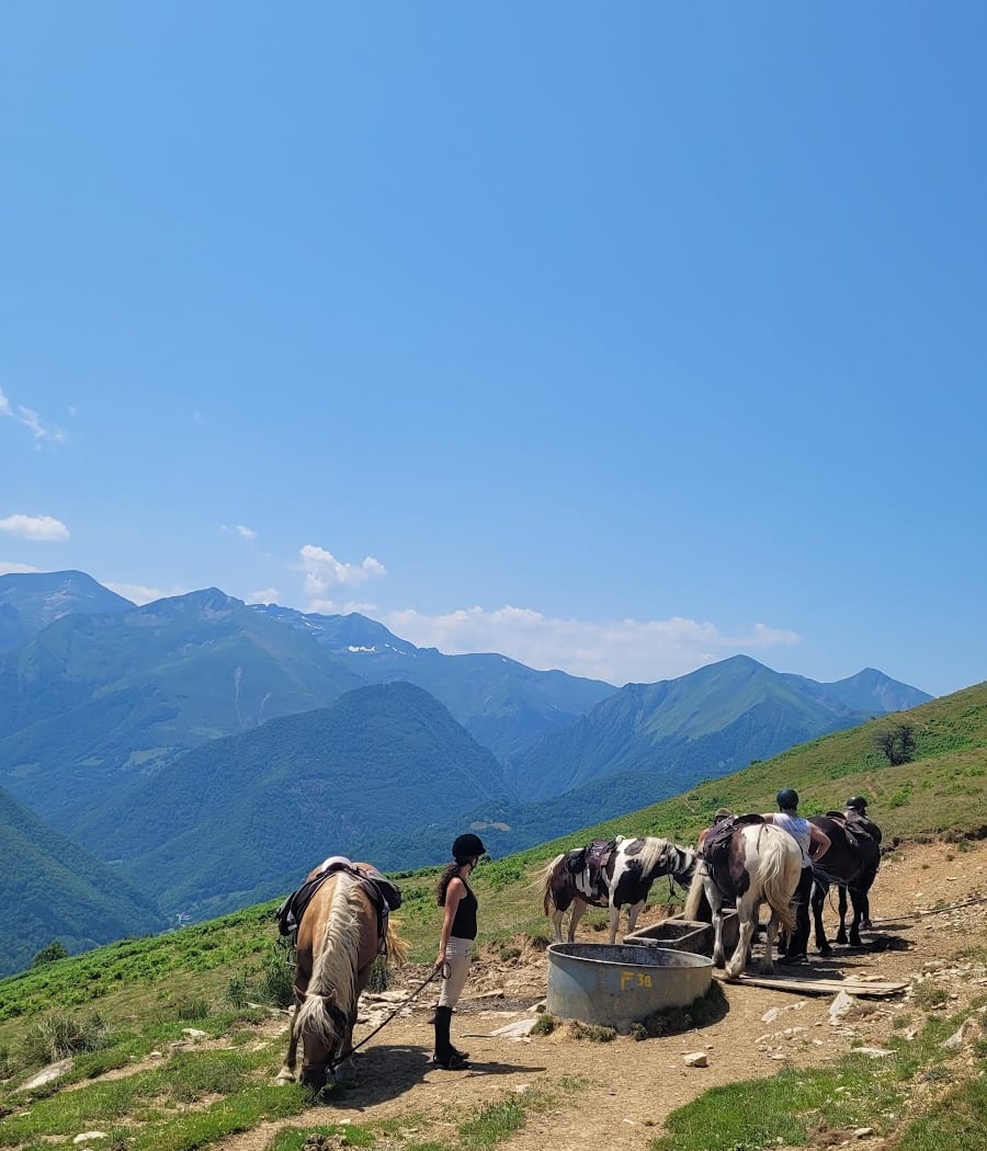Les chevaux de la Spone - Balade & randonnée à cheval - Cours d'équitation - Elevage 2