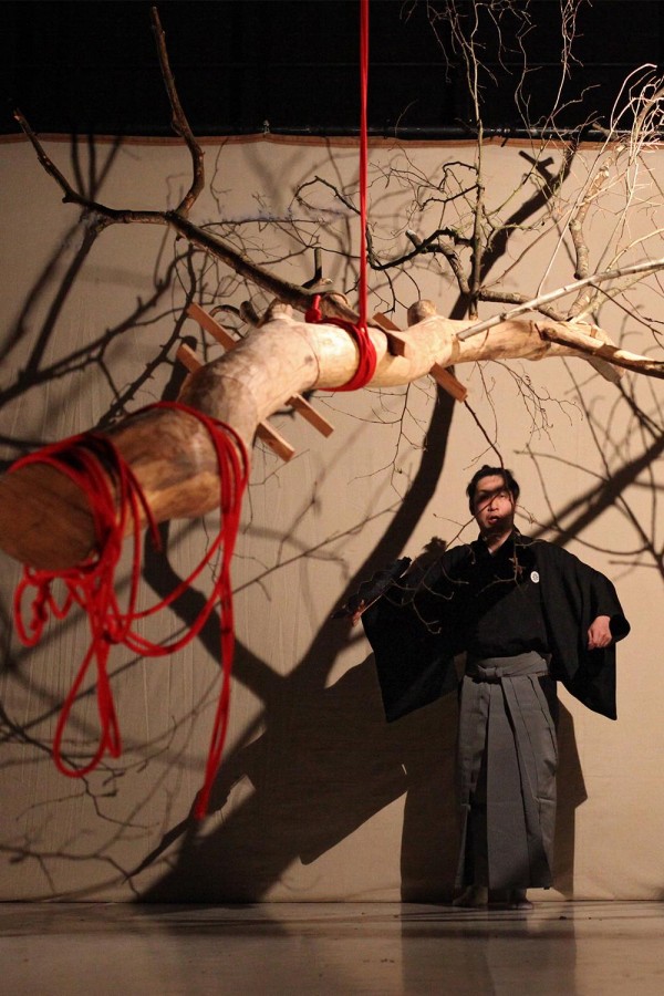 L’Expérience de l’arbre 2