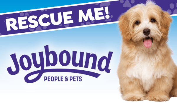 Joybound People & Pets 1