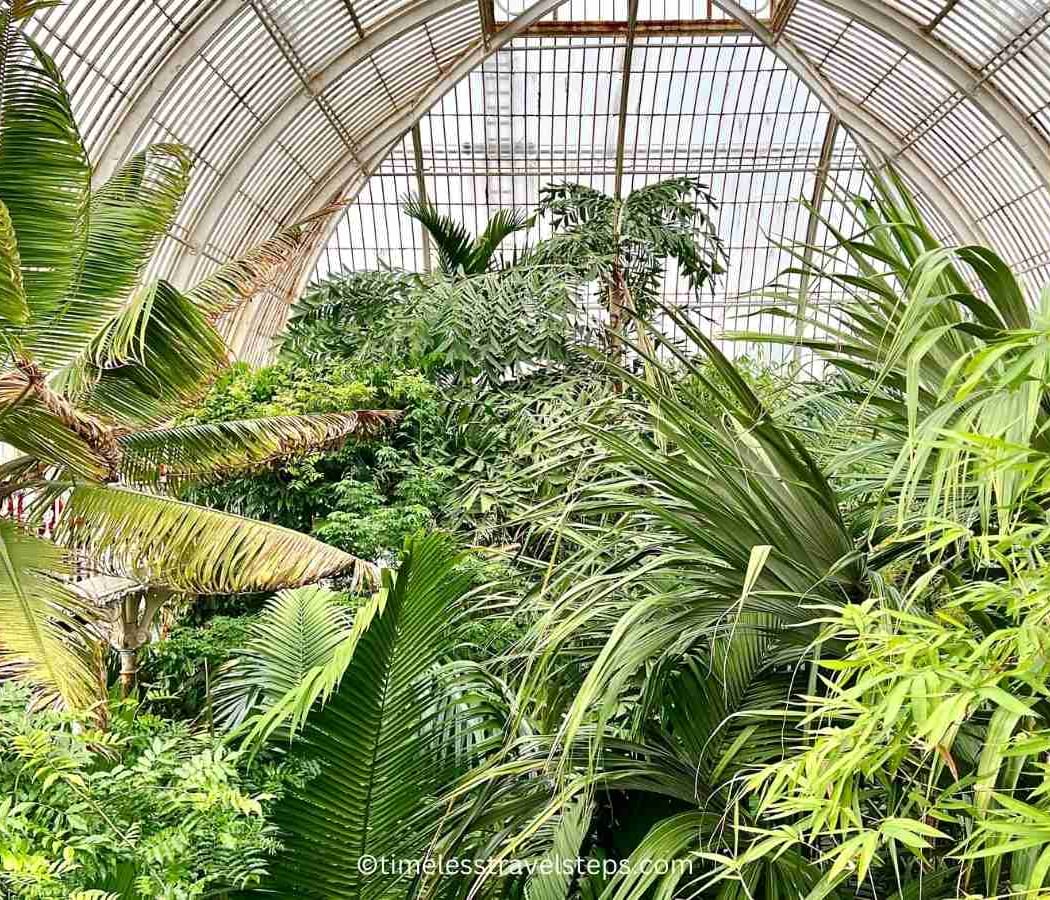 Palm House 3