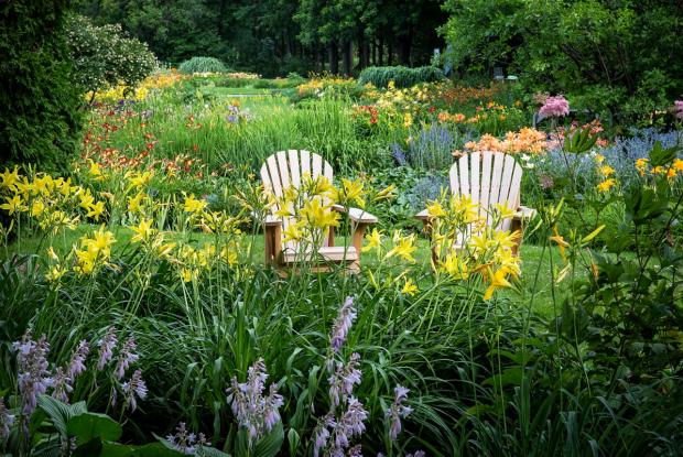 Flowery Brook 1