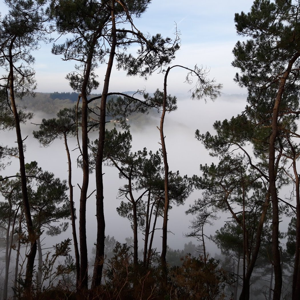 Panoramic View 2