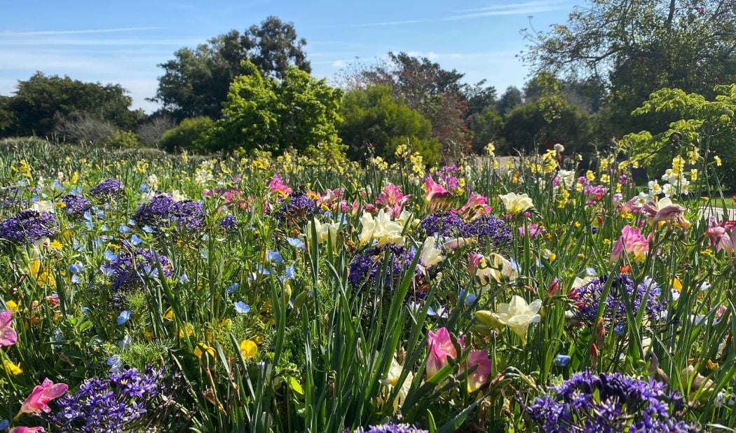 South Coast Botanic Garden 2