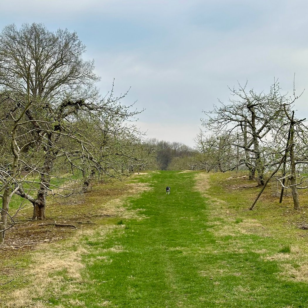 Red Barn Cidery 2