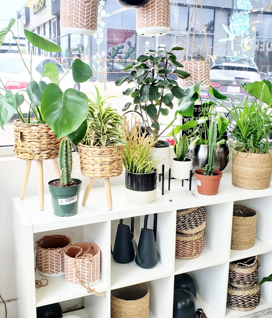 Pups & Plants Sale 1