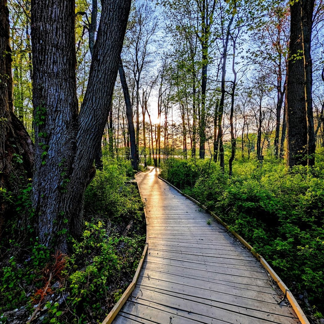 Churchville Nature Center 1