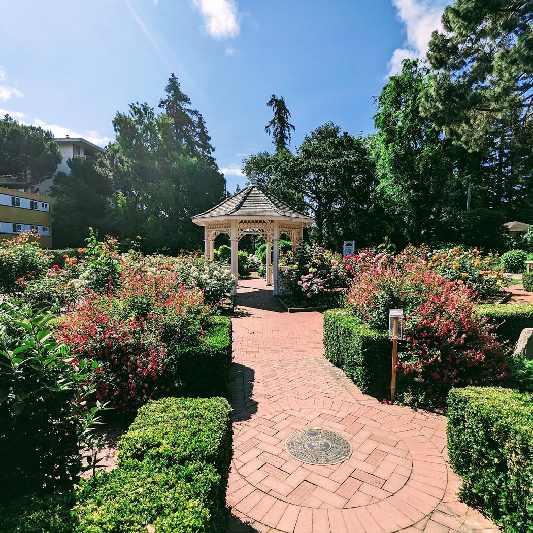 Marion Panaretos Rose Garden 1