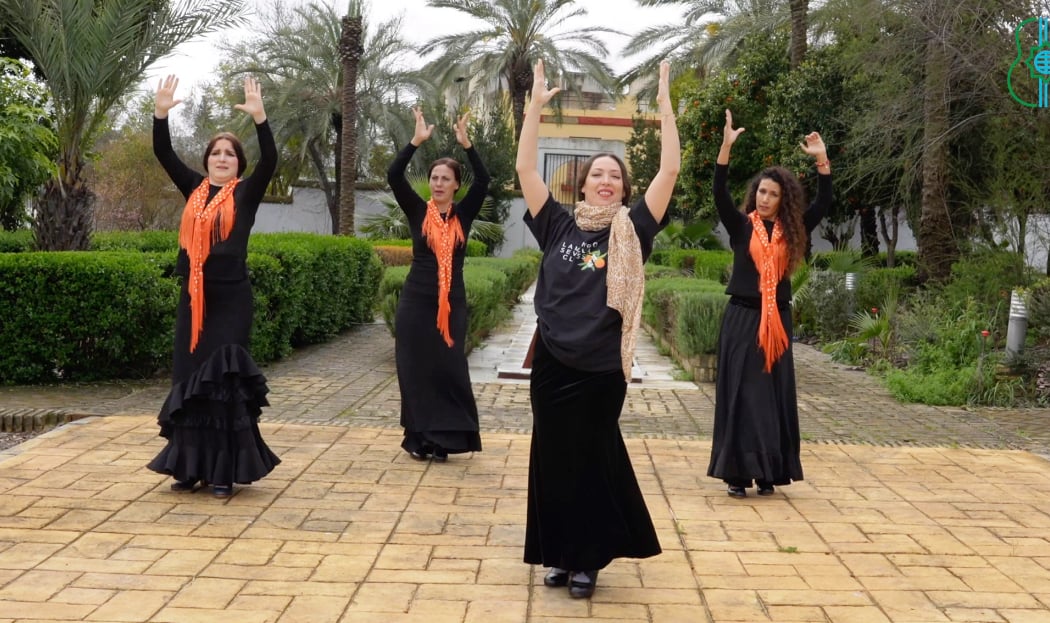 Flamenco Sevilla class 2
