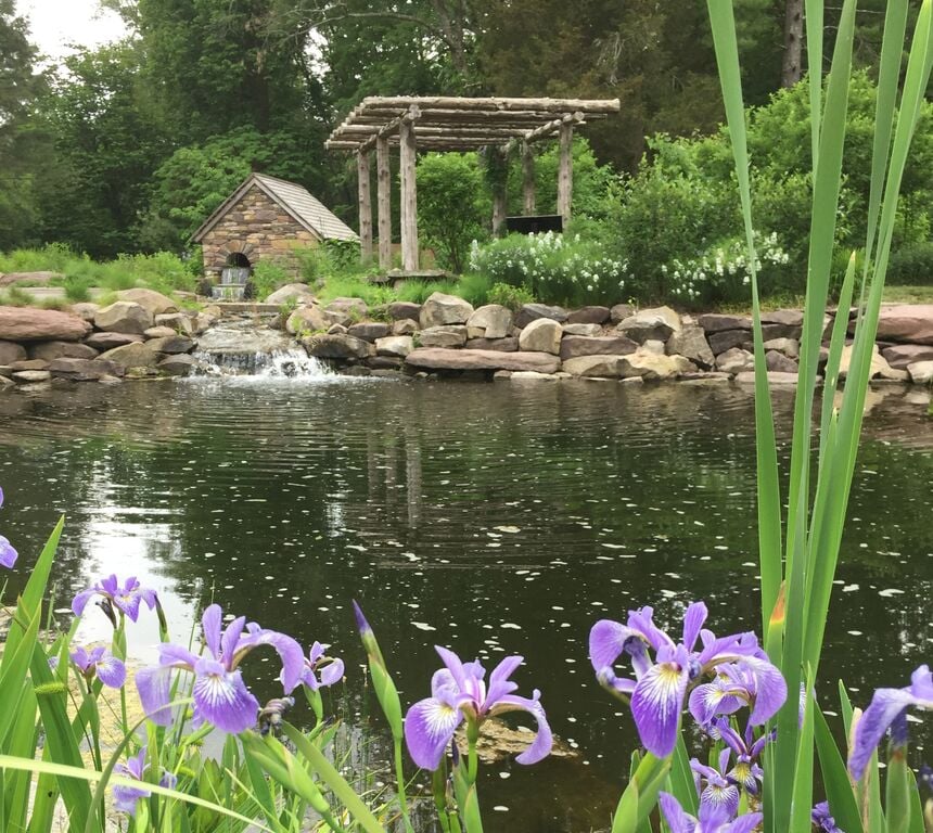 Bowman's Hill Wildflower Preserve 1
