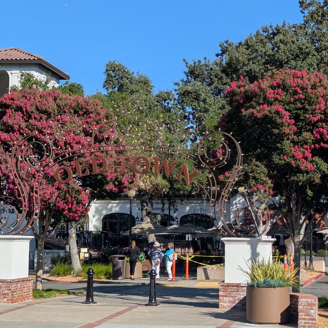 Old Town Los Gatos 2