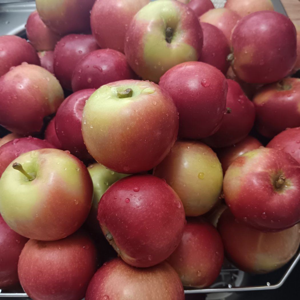 Pavero Apples and Farms 1
