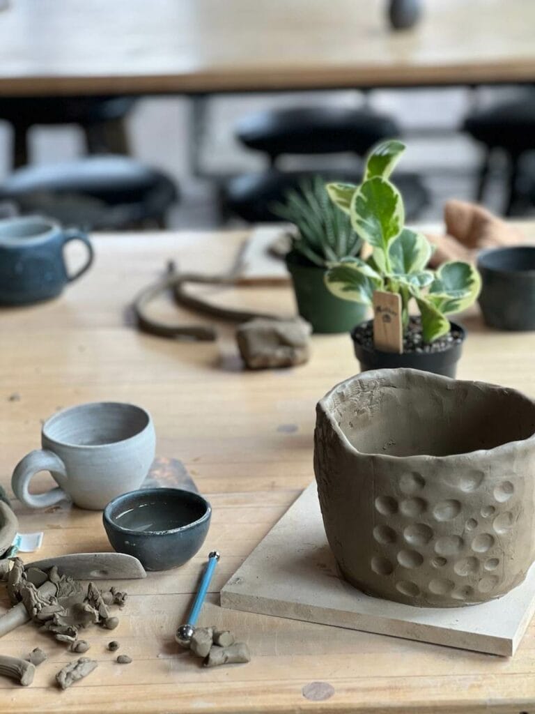 Plant and Clay Crawl - Mushroom Pots 3