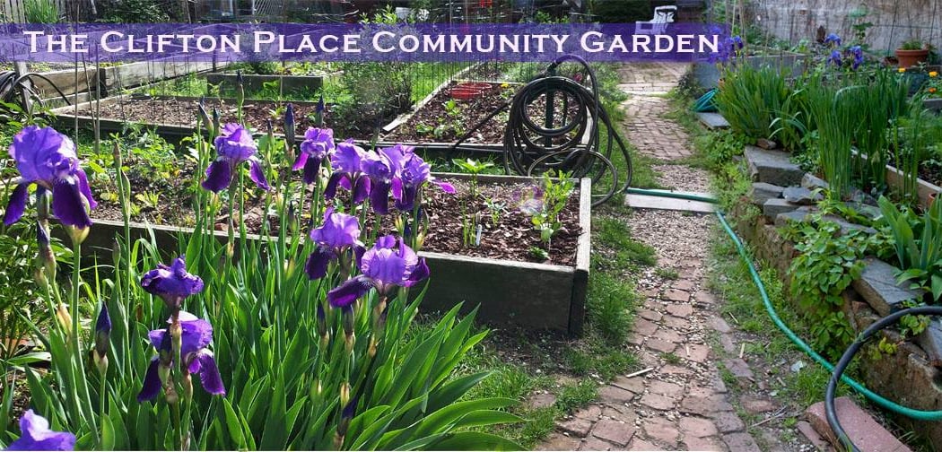 Clifton Place Block Association Garden 1