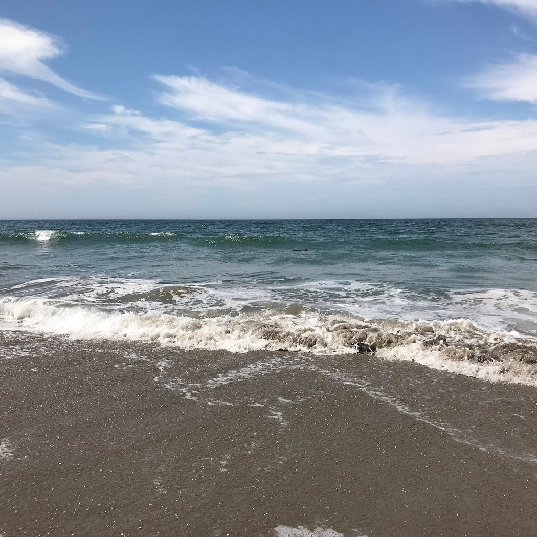 Moss Landing State Beach 3