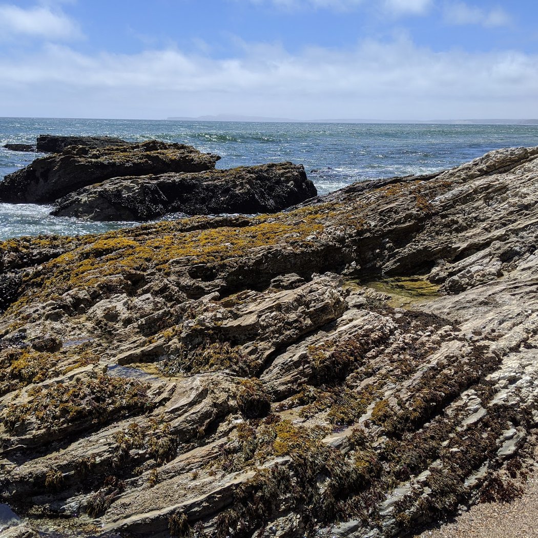 Sculptured Beach 3