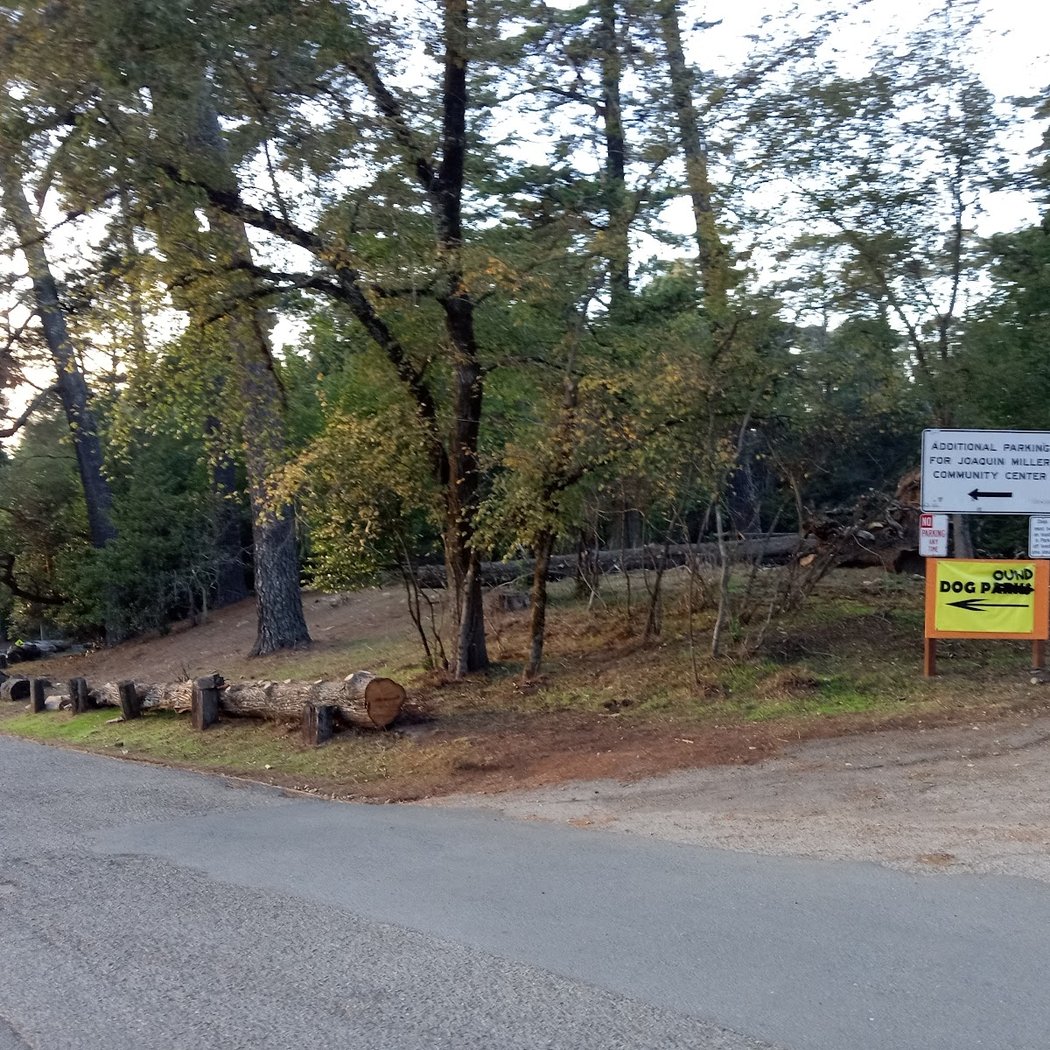 Joaquin Miller Dog Park 3