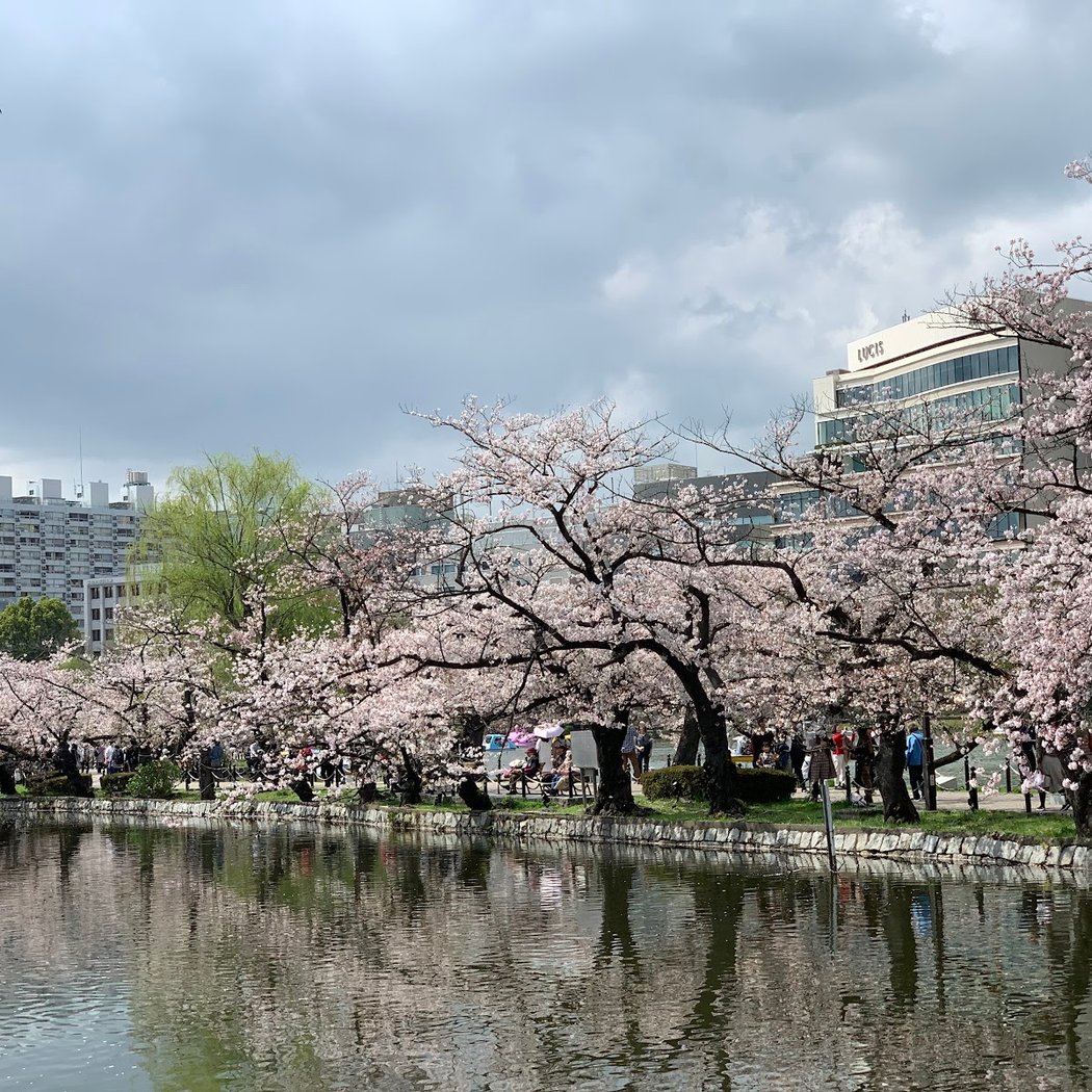 Ueno Park 2