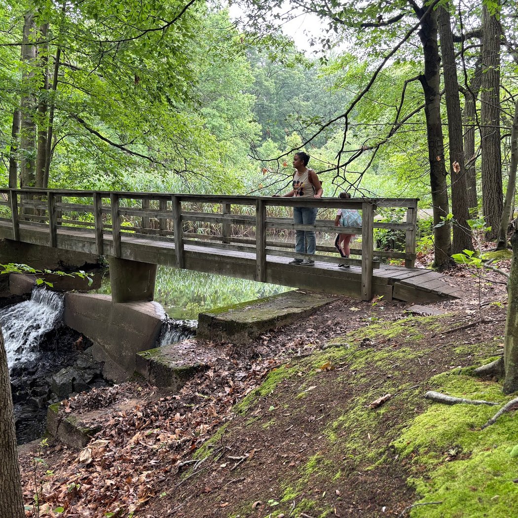 Flat Rock Brook Nature Center 3