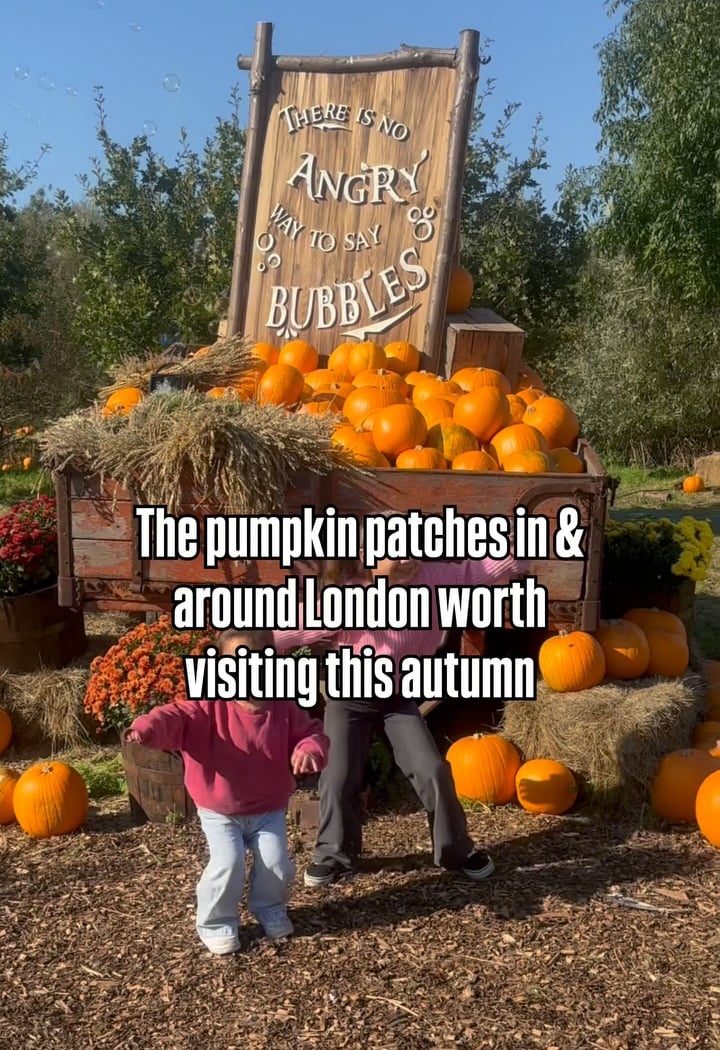 Pumpkin Patch 1