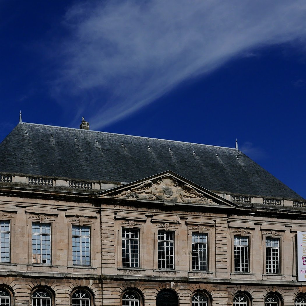 Natural History Museum 3