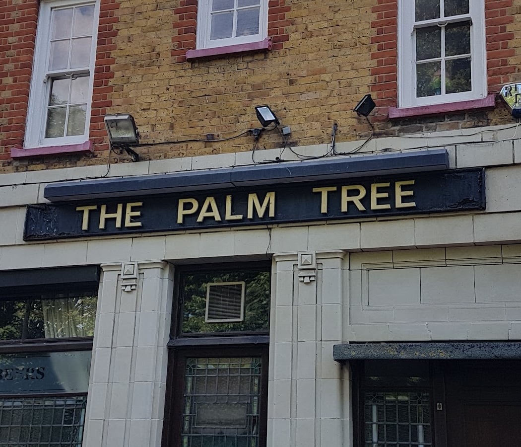 The Palm Tree 2