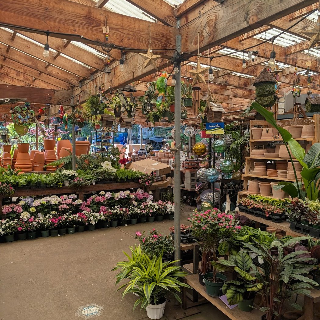 Ladera Country Shopper 1
